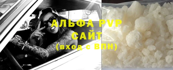амф Горняк