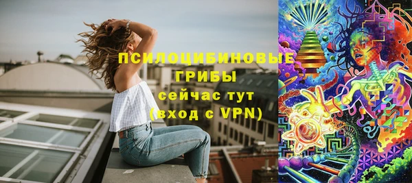 Альфа ПВП Горнозаводск