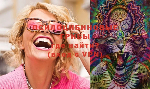 мдпв Бикин
