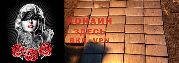 амф Горняк