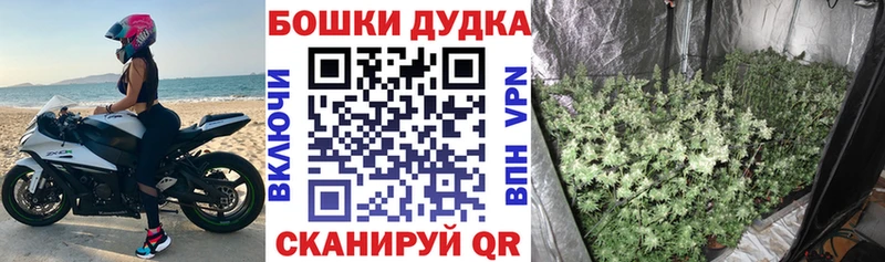сайты даркнета наркотические препараты  Жигулёвск  Канабис THC 21%  omg как зайти 